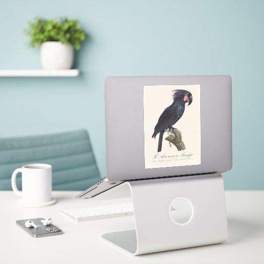 L' Ara Noir a Trompe シール (デスク上のノートパソコン)