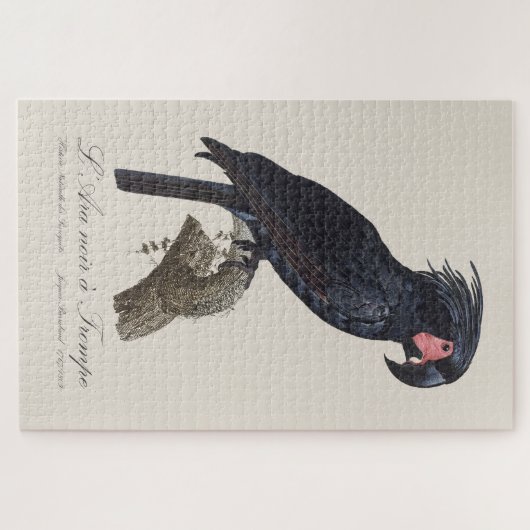 L' Ara Noir a Trompe ジグソーパズル (横)