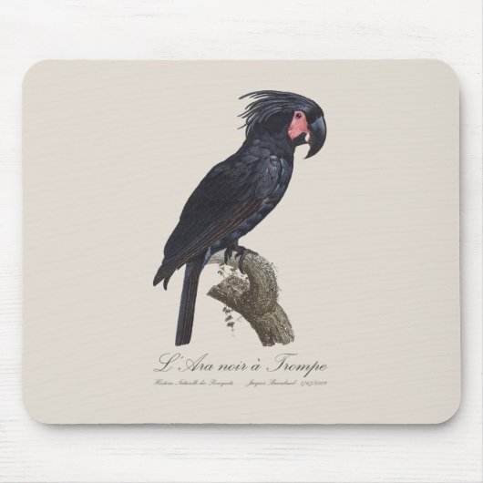 L' Ara Noir a Trompe マウスパッド (正面)