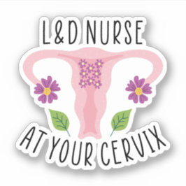L&DナースでのCervix、Labor、Deliveryナース シール