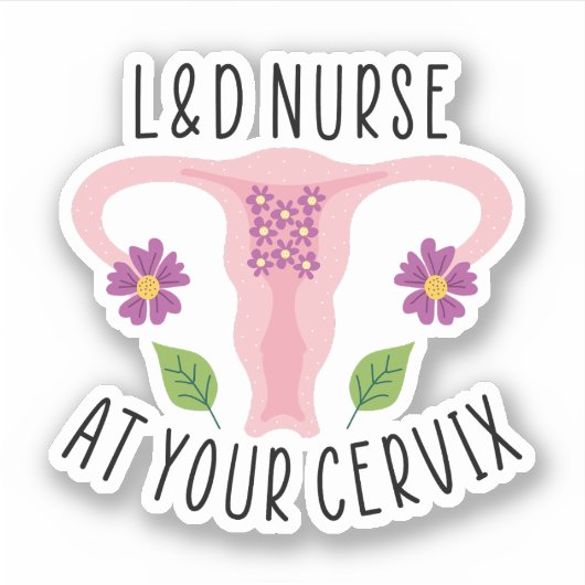 L&DナースでのCervix、Labor、Deliveryナース シール (正面)