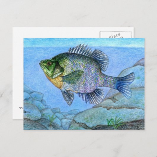 L. Luanの作品を獲得したグレード7 ポストカード (正面/裏面)