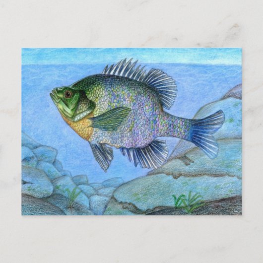 L. Luanの作品を獲得したグレード7 ポストカード (正面)