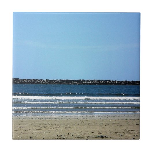 Laのパロマのビーチウルグアイ タイル (正面)