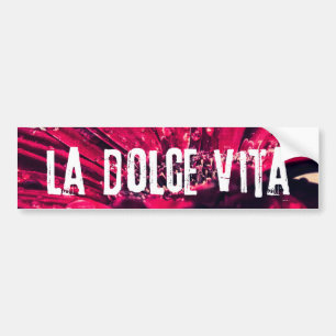 LaのDolce Vitaのガーベラのデイジー バンパーステッカー