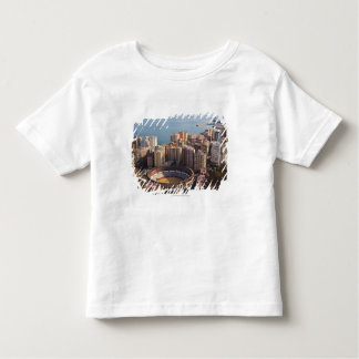 LaのMalaguetaのBullringおよび港 トドラーTシャツ