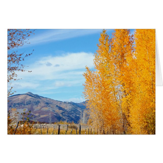 LaのPlatasの秋 (正面横)