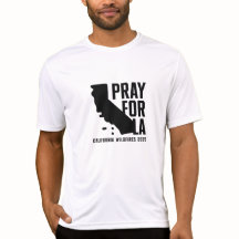 LA 祈 California 2025のwildfire