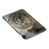 La Bocca di Verita (The Mouth of Truth) （写真） マグネット (右側)