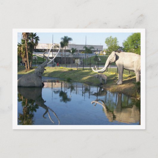 LA BREA TAR PITS #1ポストカード ポストカード (正面)