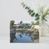 LA BREA TAR PITS #2ポストカード ポストカード (スタンド正面)