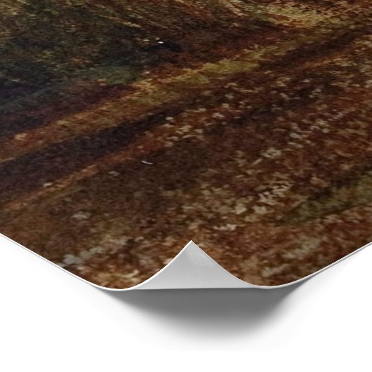 La Camargg, Coucher De Soleil - Fellix Ziem ポスター (角)