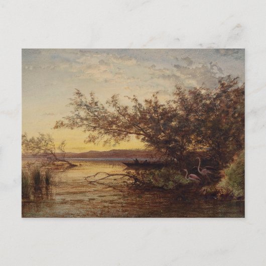 La Camargg, Coucher De Soleil - Fellix Ziem ポストカード (正面)