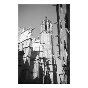 La Catedral Gargoyles写真（バルセロナ，スペイン） フォトプリント