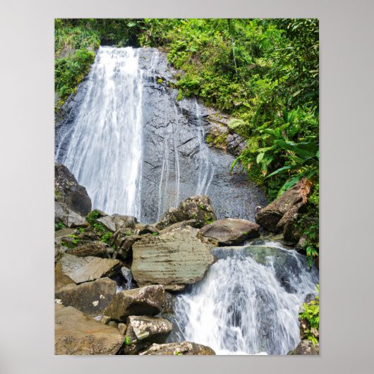 La coca falls of el yunque national forest ポスター (正面)