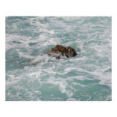 La cote bretonne ポスター (正面)