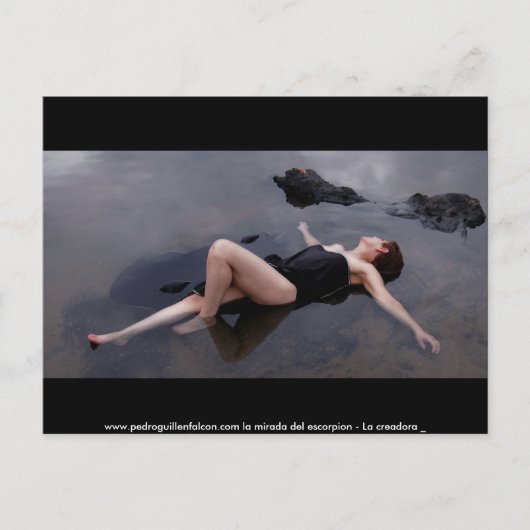 la creadora2のwww.pedroguillenfalcon.comのla mir… ポストカード (正面)