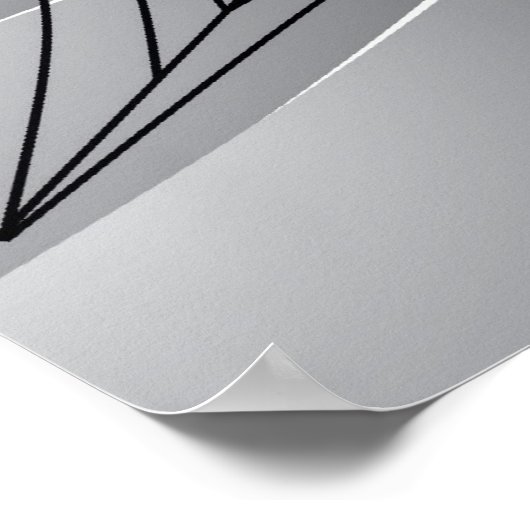 La donna ragno / Poster ポスター (角)