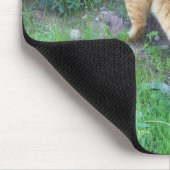 La favorita del barrio マウスパッド (コーナー)