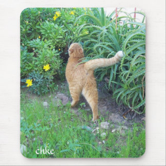 La favorita del barrio マウスパッド