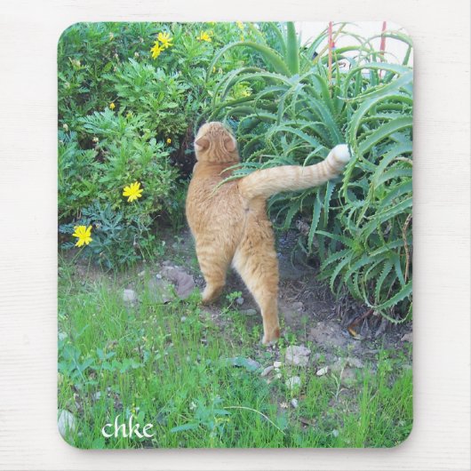 La favorita del barrio マウスパッド (正面)