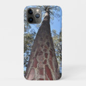 La Gerche Ponderosa Pine iPhone/iPadカバー Case-Mate iPhoneケース (裏)