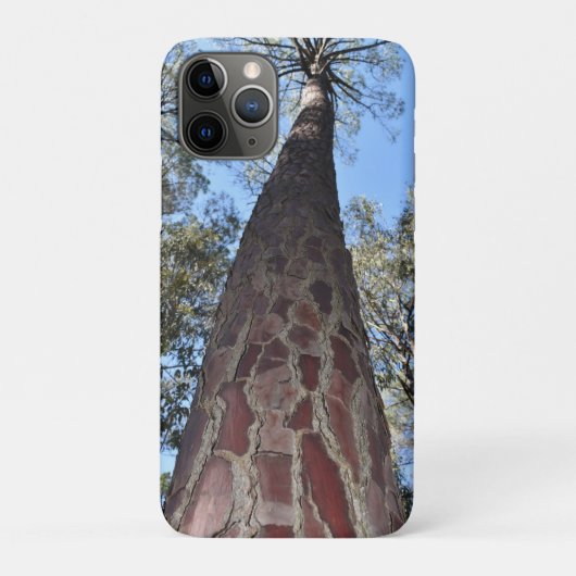 La Gerche Ponderosa Pine iPhone/iPadカバー Case-Mate iPhoneケース (裏)