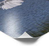 La grande aigrette フォトプリント            (角)