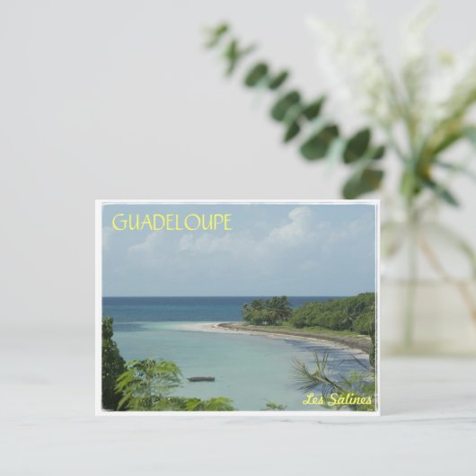 La Guadeloupe ポストカード (スタンド正面)