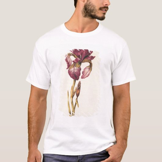 「La Guirlande deジュリー」から、c.1642絞って下さい Tシャツ (正面)