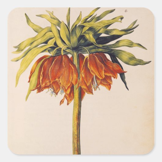 La Guirlande de Julieのクラウンフリティラリー スクエアシール (正面)