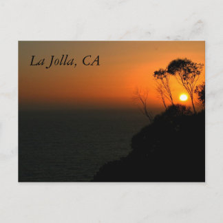 La Jollaのユーカリ果樹園 ポストカード