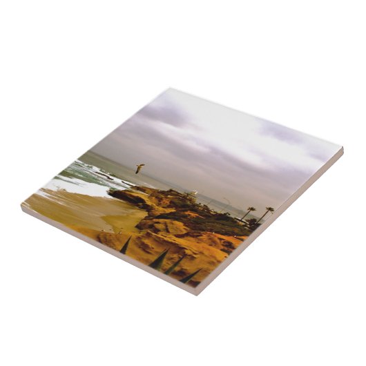 La Jollaの生命 タイル (側面)