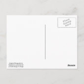 La Jolla、カリフォルニアのビーチの日没の郵便はがき ポストカード (裏面)