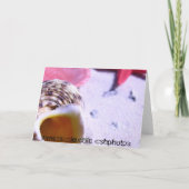 La Jolla、カリフォルニア カード (裏面)