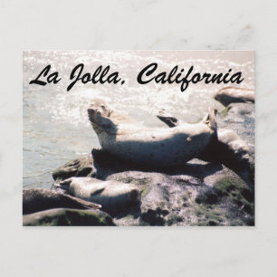 La Jolla California写真はがきシール ポストカード
