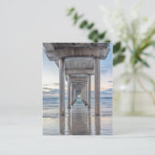 La Jolla、Scripps Pier ポストカード (スタンド正面)
