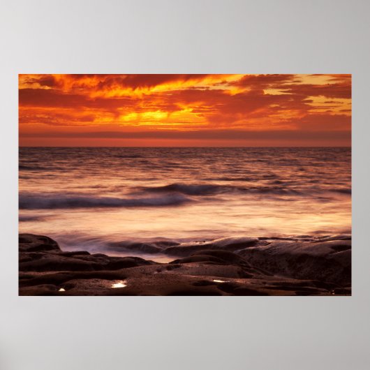 La Jolla Tide Pools ポスター (正面)