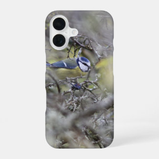 la mésange bleue iPhone 16ケース