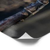 la mouette (seagull) ポスター (コーナー)