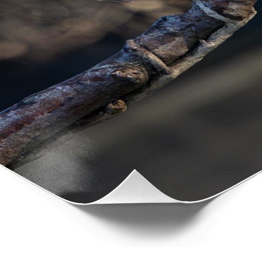 la mouette (seagull) ポスター (コーナー)