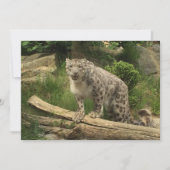 La panthère (正面)