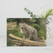 La panthère (スタンド正面)