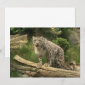 La panthère (正面/裏面)