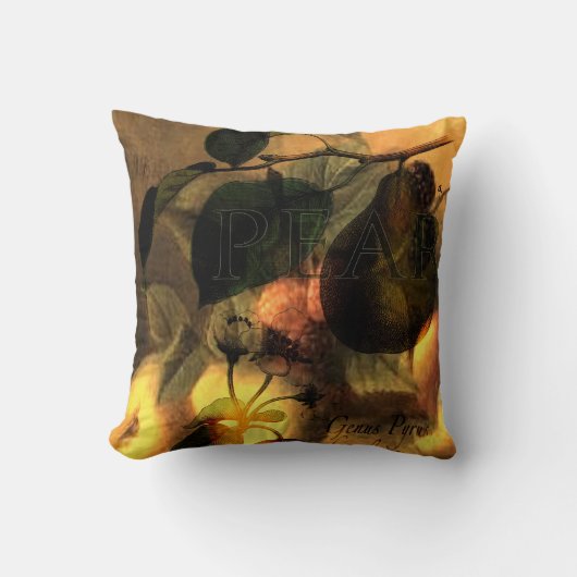 La Poire #1 クッション (正面)