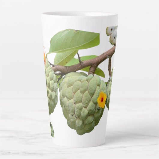 La pomme-cannelle カフェラテマグ (正面)