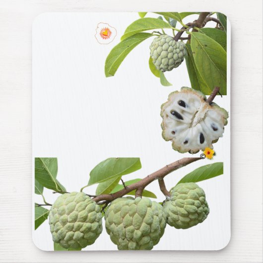 La pomme-cannelle -  マウスパッド (正面)