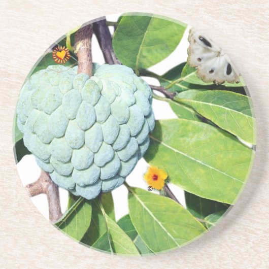 La pomme-cannelle - Verre à shot コースター (正面)