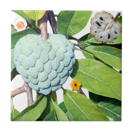 La pomme-cannelle - Verre à shot タイル (正面)