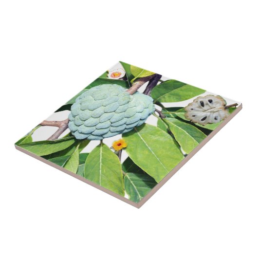 La pomme-cannelle - Verre à shot タイル (側面)